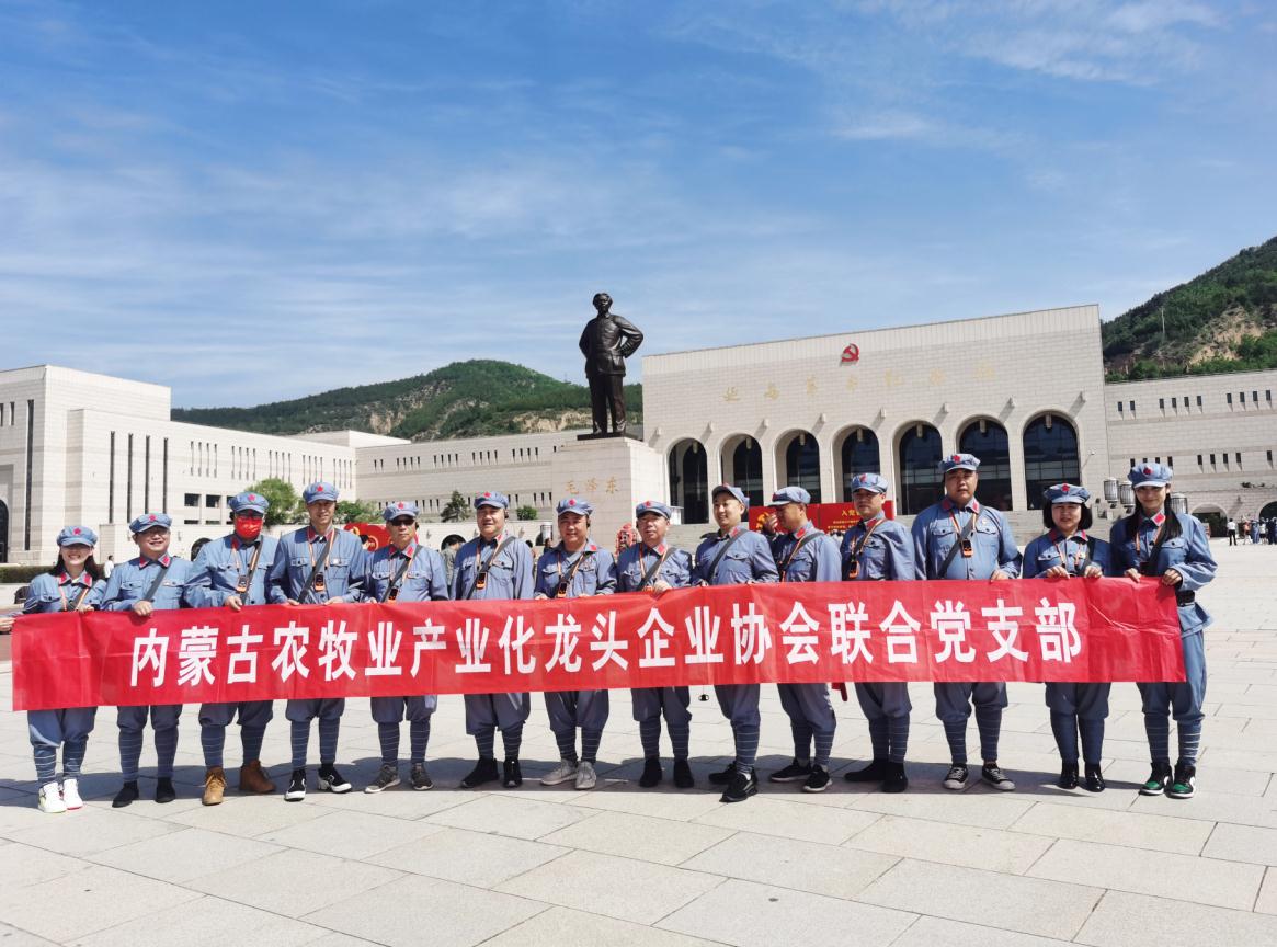 內(nèi)蒙古農(nóng)牧業(yè)產(chǎn)業(yè)化龍頭企業(yè)協(xié)會聯(lián)合黨支部赴延安革命圣地開展“學(xué)黨史、感黨恩、跟黨走”主題黨日活動