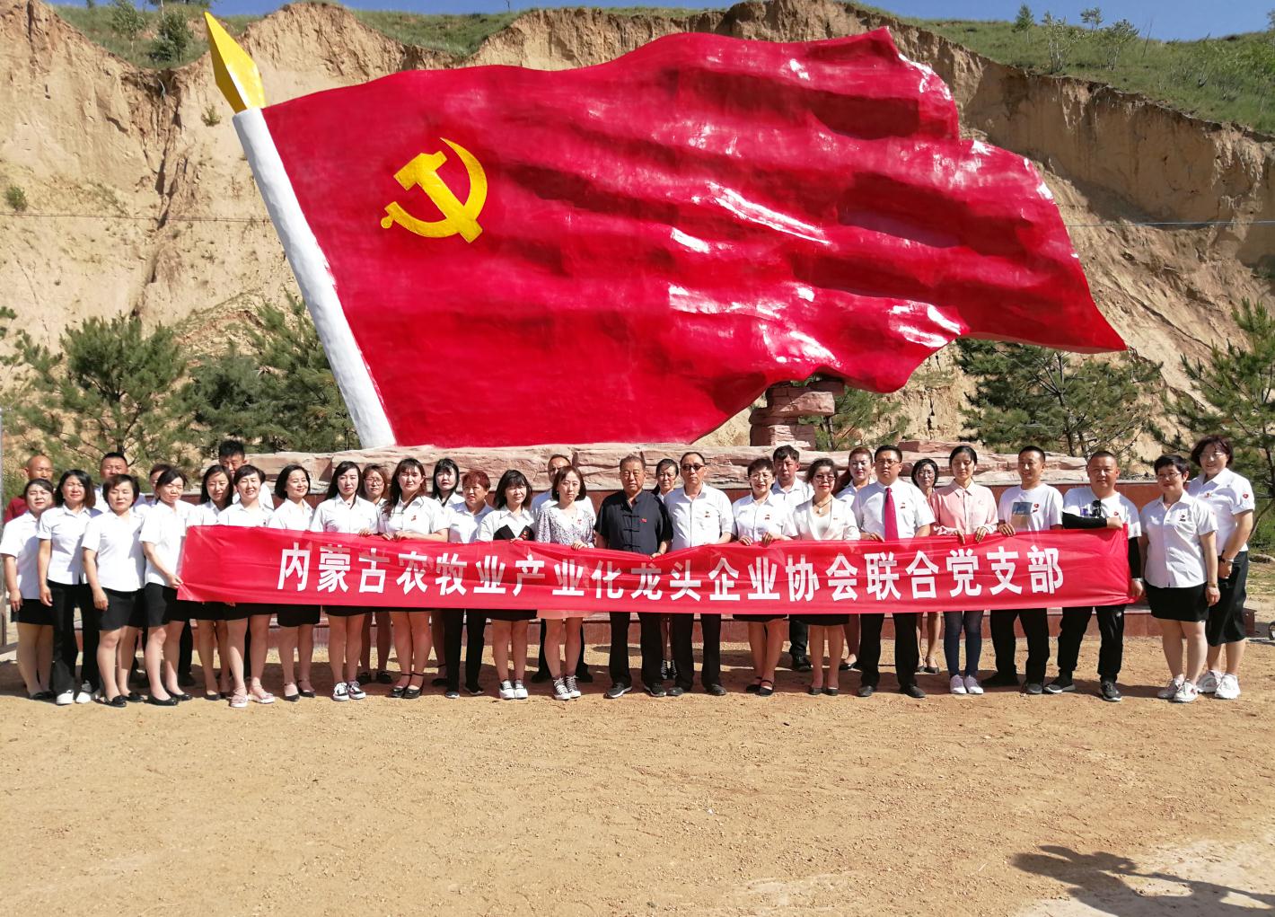 內(nèi)蒙古農(nóng)牧業(yè)產(chǎn)業(yè)化龍頭企業(yè)協(xié)會走進石人灣村開展“辦實事、解難題，送溫暖，傳黨恩”公益活動